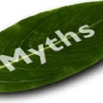 Myths-Feature-image-2