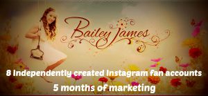 Music Marketing Bailey James MEME