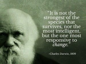 Music Manager Darwin Strongest Quote