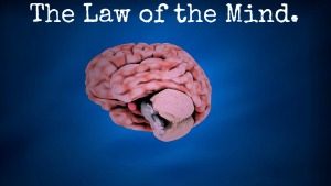 Design The Law of the Mind MEME