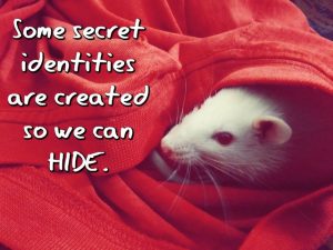Secret Identity HIde MEME